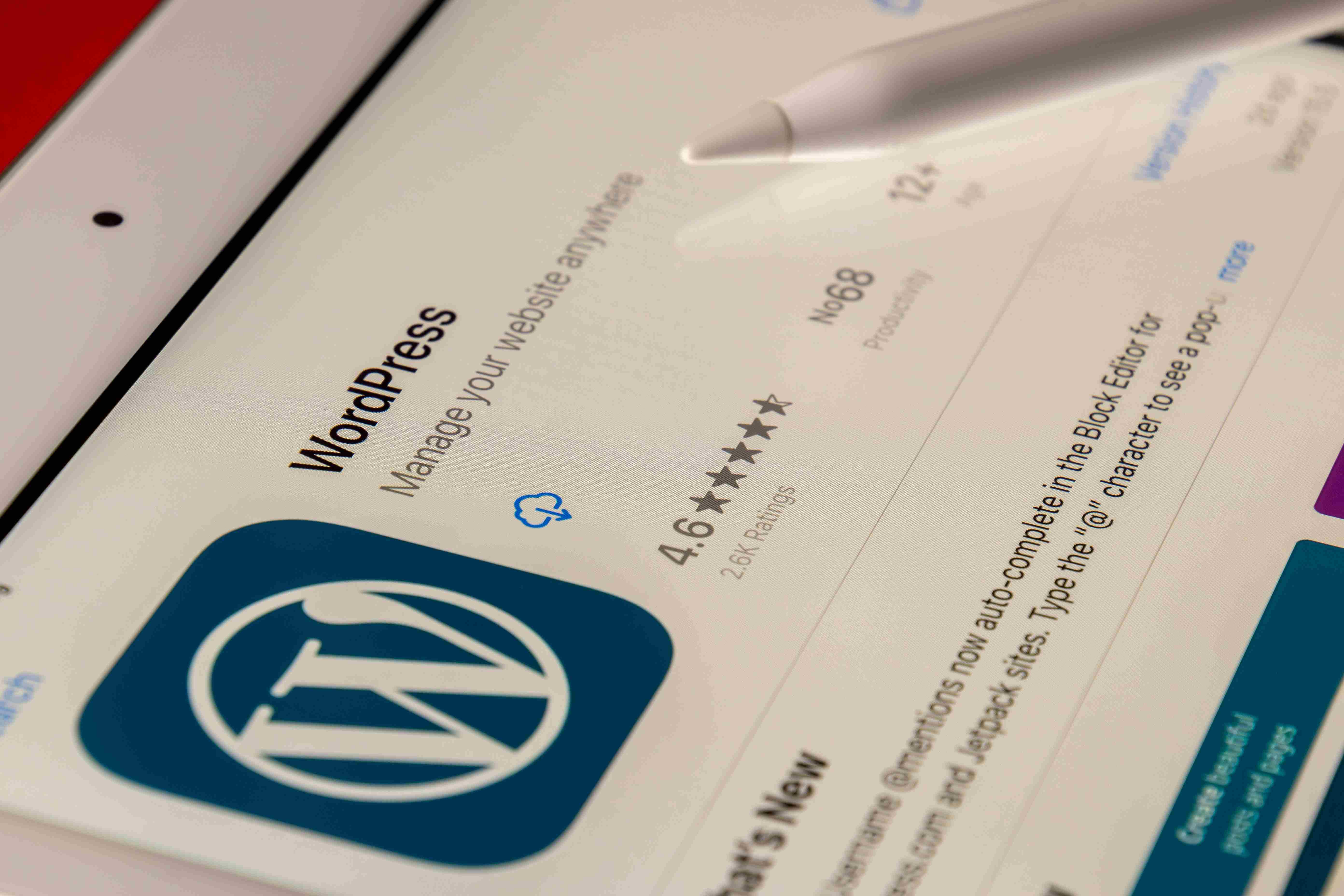 Oasisascend WordPress Development Services
